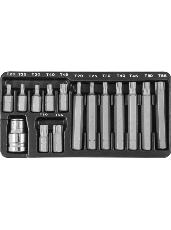 S29H4215S JONNESWAY Набор вставок-бит 10 мм  TORX® (30 и 75 мм), Т20-Т55, 15 предметов